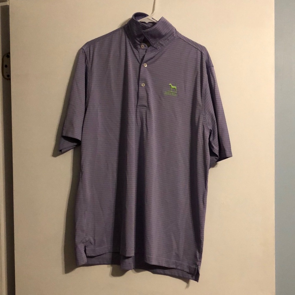 Golf shirt, lavender striped with green, X-large